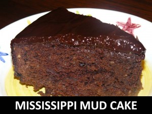 Mississippi mud cake