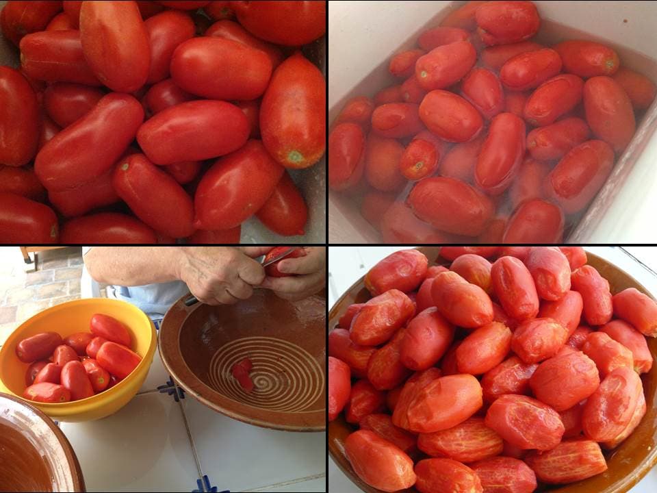 Conserva de tomates